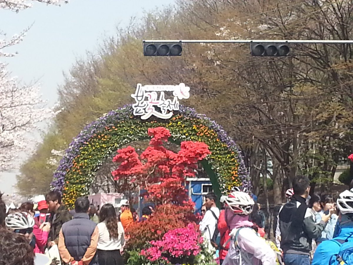 봄꽃축제 여의도 영등포 Yeouido Spring Festival Flowers 직캠 벚꽃 벚꽃축제 박시환 itlsdiddnr