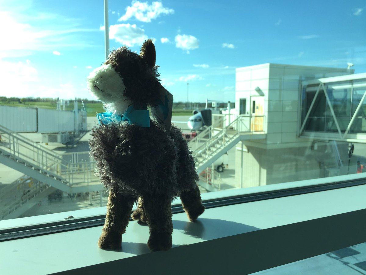 classyllama: Louie is getting started on his #RoadToImagine. He's looking forward to meeting many of you this coming week. https://t.co/XXdDXK4zVn