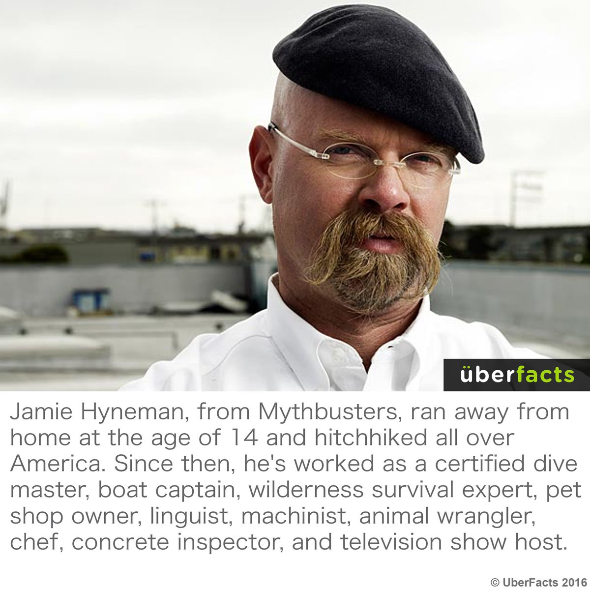 RT @UberFacts: He's been busy. https://t.co/T22Kq9jDw4