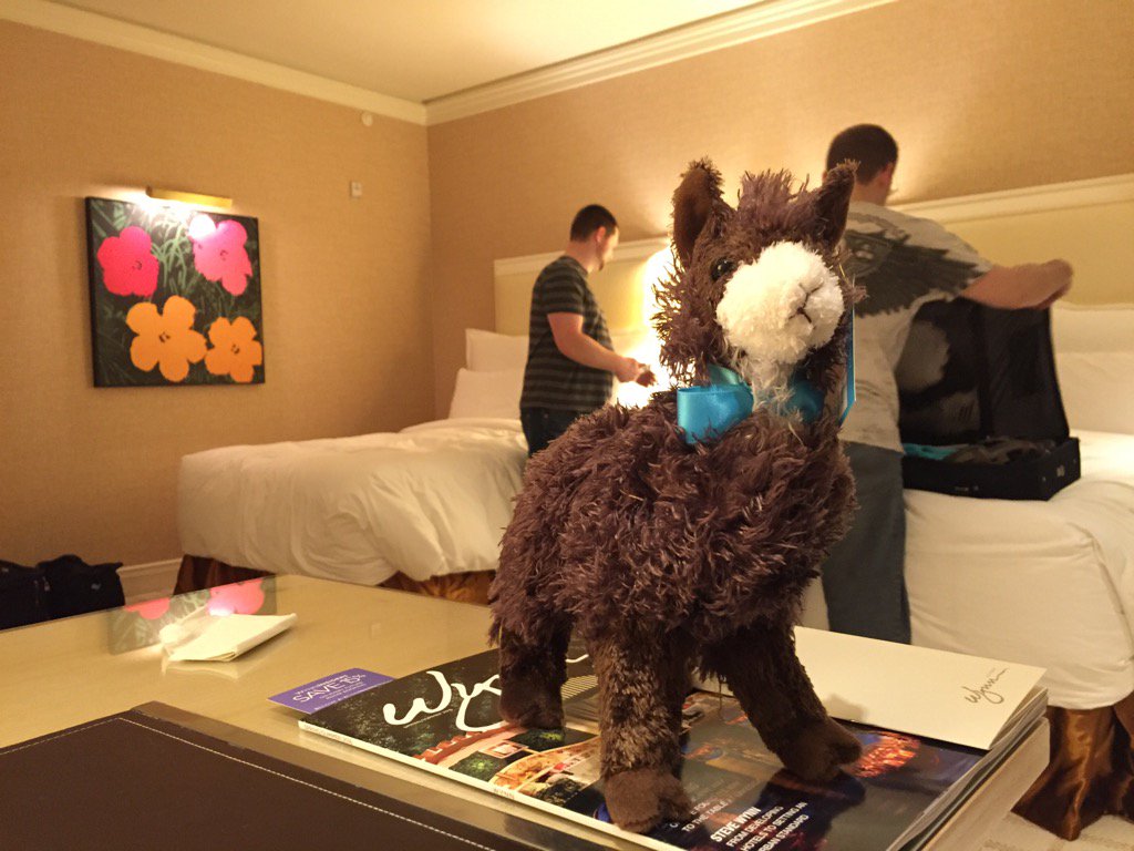classyllama: Louie has arrived in Las Vegas. Ready to make some friends at #MagentoImagine! https://t.co/XonFNhG92h