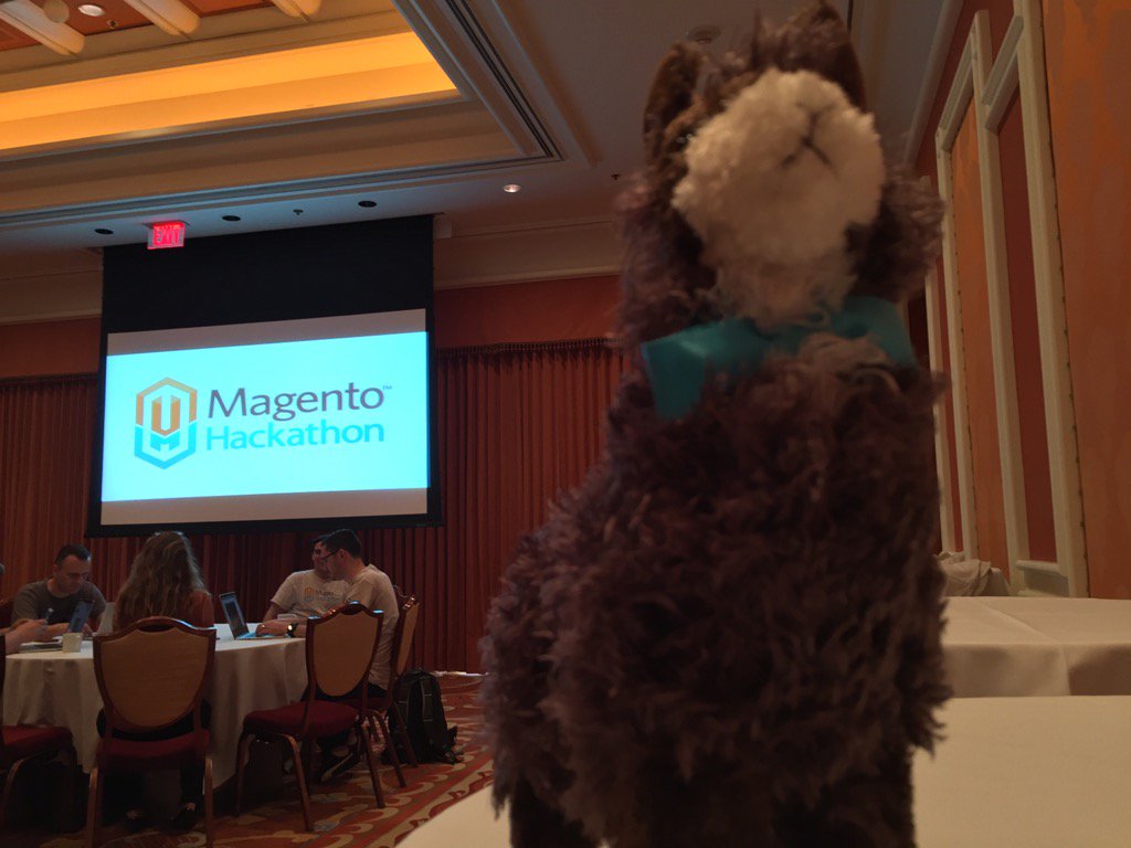 classyllama: Louie is ready for the #MagentoImagine Hackathon / Docathon! https://t.co/ojYDMNmzqn