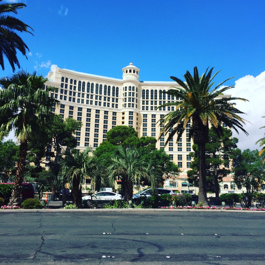 replatforming: In Vegas ready for #MagentoImagine on Monday... Who else is going? https://t.co/Hu0ePbQaQB