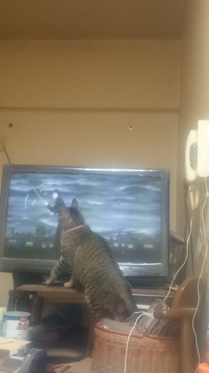 「嘘だろ?坂本…お前は…この期に及んで猫の視線までも独り占めにするつもりか!?」#坂本ですが? 「嘘だろ?坂本…お前は…この期に及んで猫の視線までも独り占めにするつもりか!?」#坂本ですが?