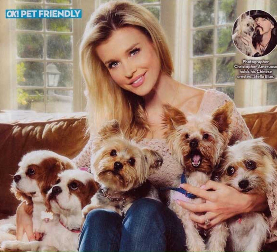 RT @FauxRealityM: For every RT we donate $1 to Angels For Animal Rescue up to $500 https://t.co/RJ09UX8bTr RT or Donate! @joannakrupa https…
