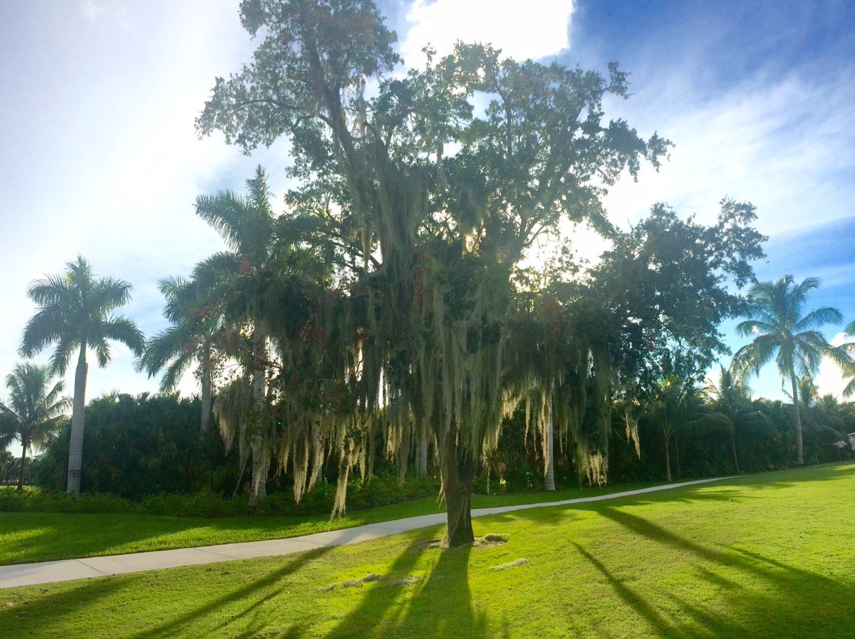 RT @TrumpDoral: Happy #EarthDay! Since our renovation, more than 5,000 new trees have been planted throughout the property! https://t.co/UX…