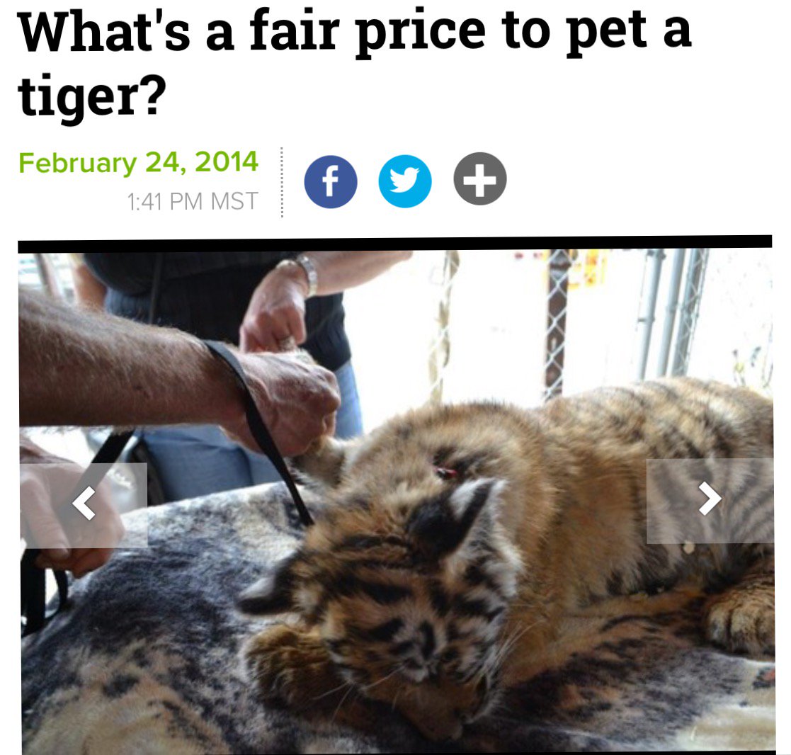 pet a drugged tiger cub
W/out a mom https://t.co/13LSlGPWFt