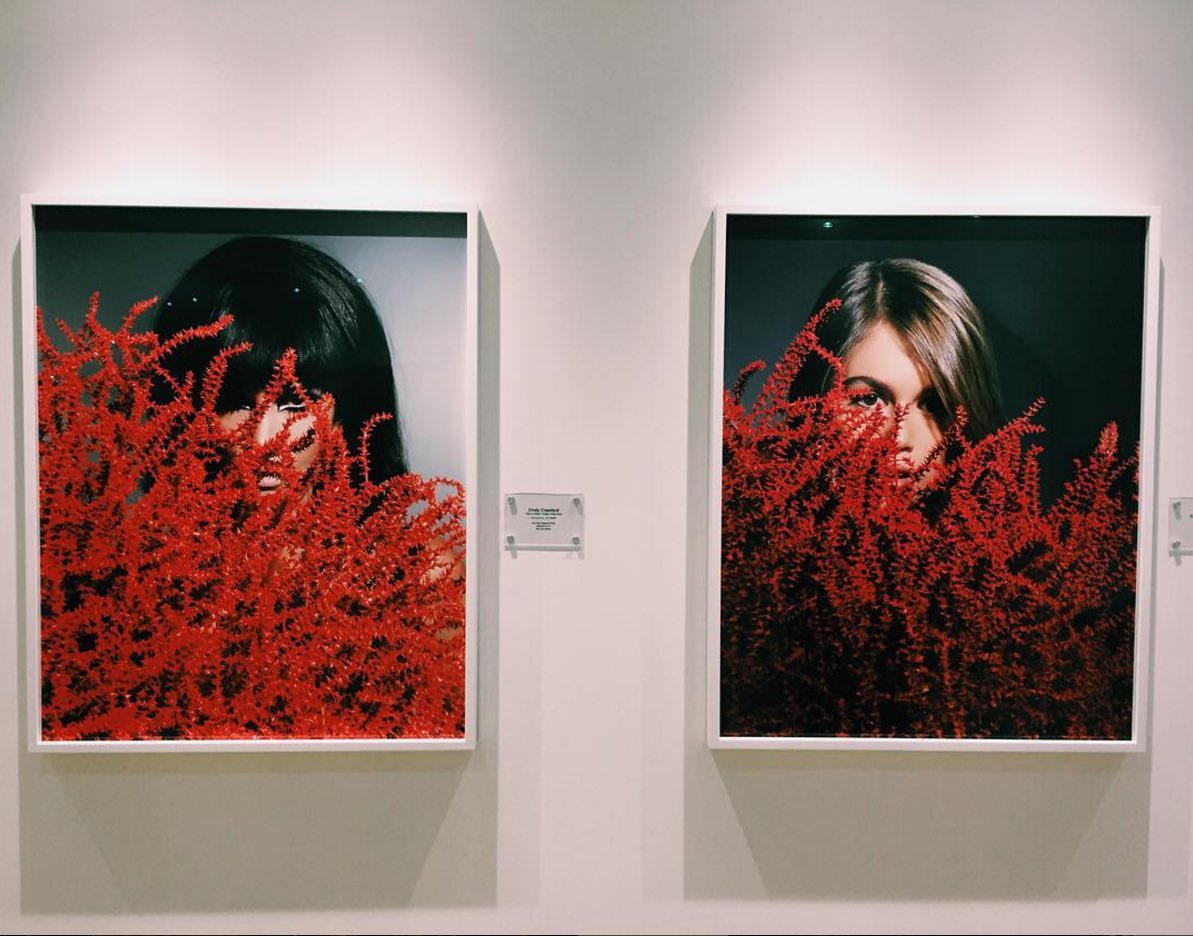 Like mother, like daughter. Portraits by #Laurielynnstark in Tokyo, #BudsnBlooms. ????• https://t.co/AExf4J2YXA https://t.co/9cZDNRalt5