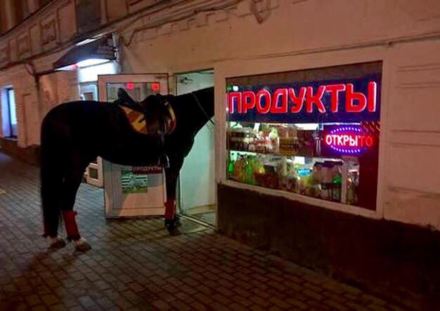 So a horse gets head in a bar....#stopmeifuheardthisonebefore #heyhoooo.... https://t.co/NzR7T9lnyZ