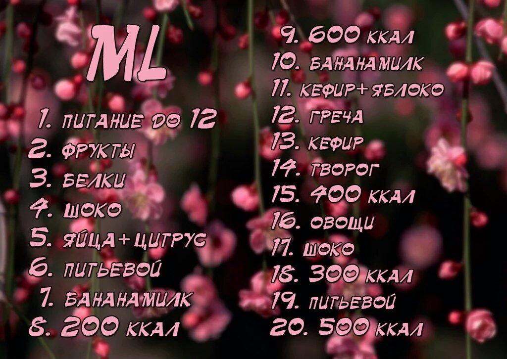 Диета Ml 20 Дней