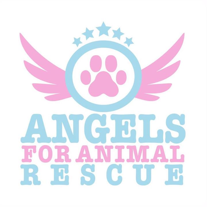 RT @teacuptutucharm: We need you at https://t.co/FmqTrLOEXE ???? Donate today and save a life!! @angels4animalre @joannakrupa https://t.co/p58…