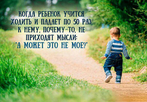 Ветровые стекла (ударопрочный пластик) Бюджетная перетяжка дивана своими руками