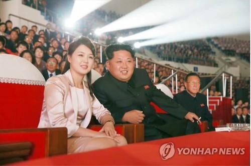 리설주 댓글부대 막아라 국정원 책상밑에 인기 김정은 비밀임무 떠들어대니 술집여자 켄마 미화를 wikitree