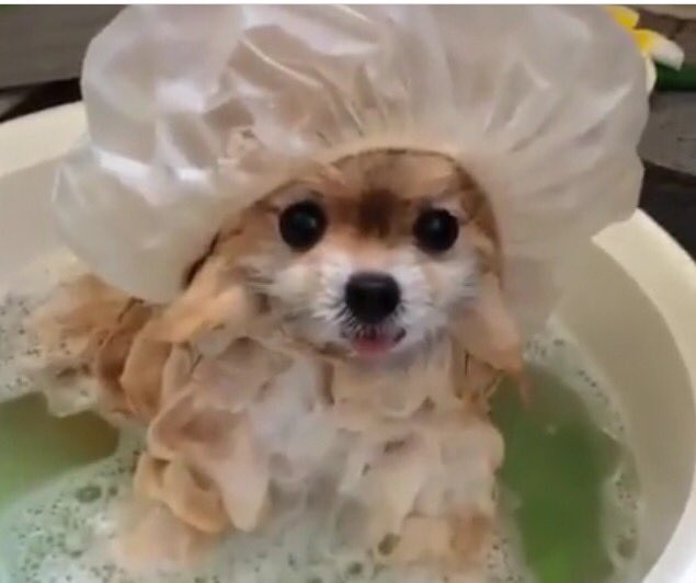 I'm busy washing my hair. https://t.co/zJkFvhrc8m