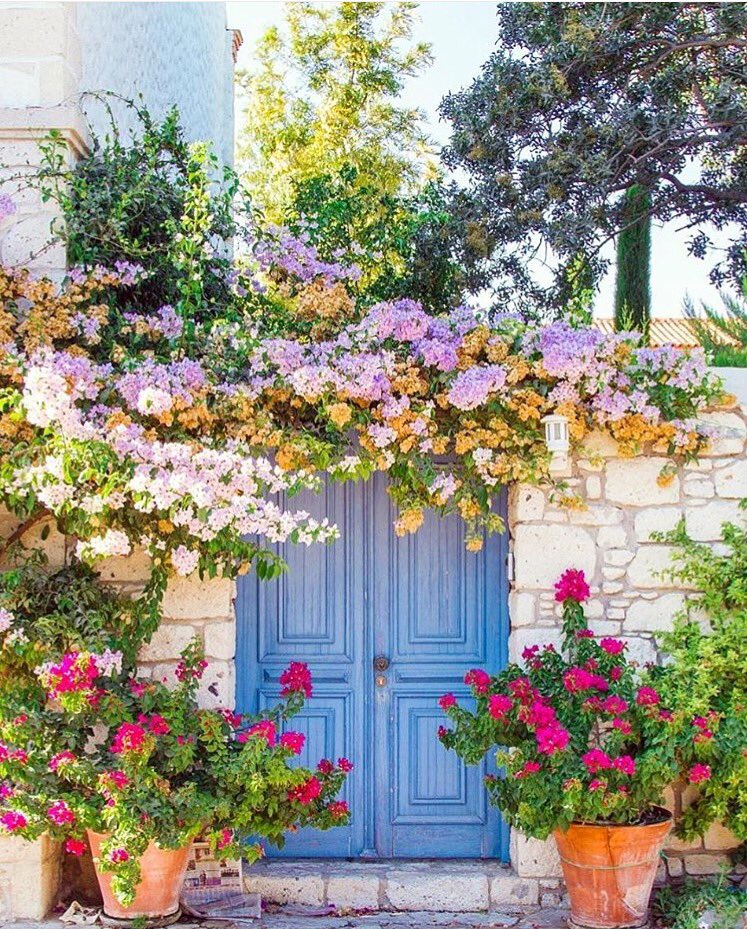 *sigh* Aren’t you happy to know a door like this exists?! Hope y’all have a bright #Saturday ???????????? #regram @ELLEDECOR https://t.co/deWSiBVQlc