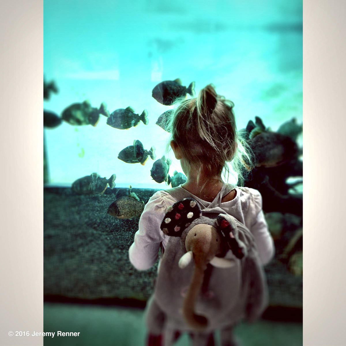 Everyday is an adventure! #zoo #aquarium #lovetolearn https://t.co/W4WtnkrloZ