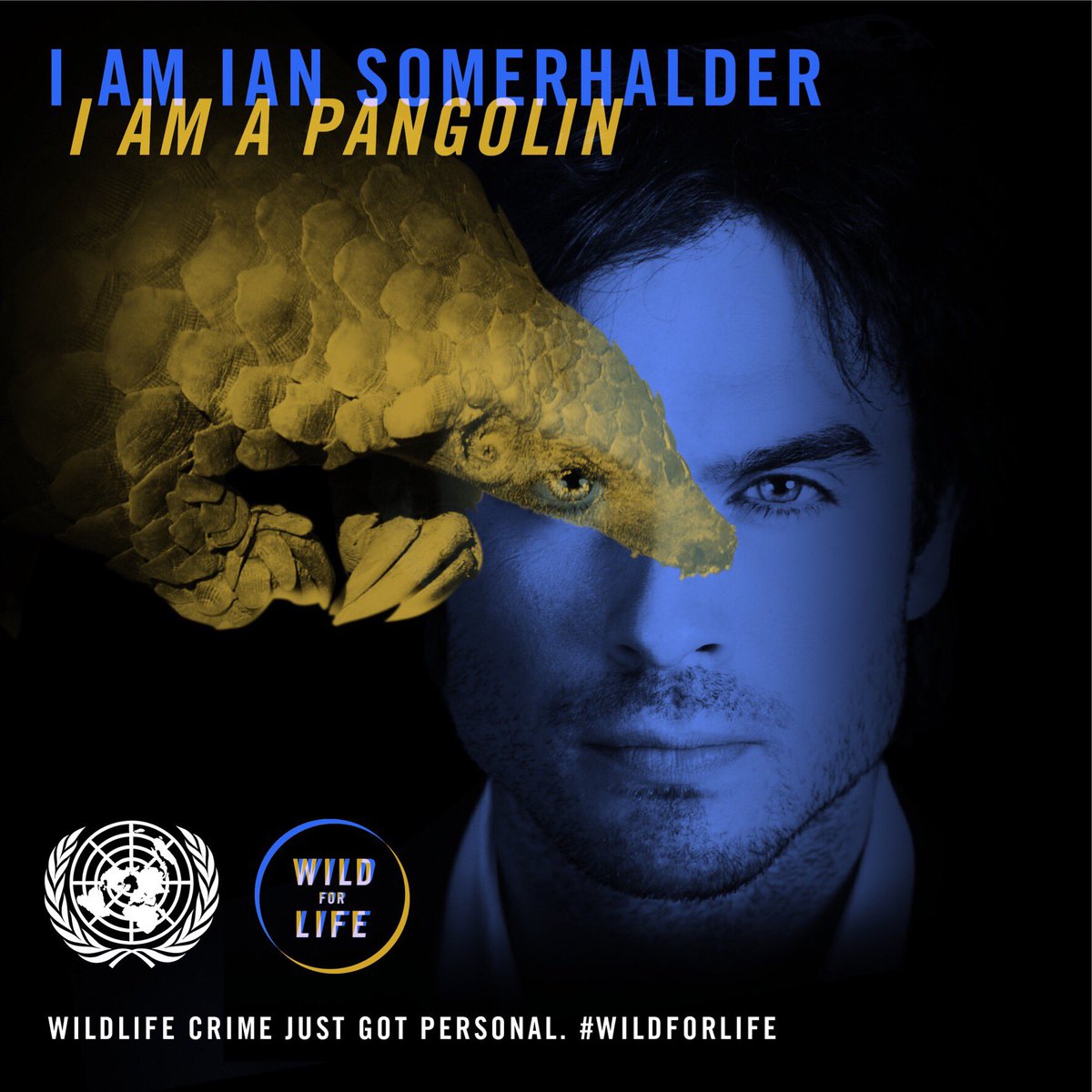 I am Ian. I am a Pangolin. What are you? Find your kindred species https://t.co/uCxCKgwCJC #Wildforlife https://t.co/6y8AnyuLzO
