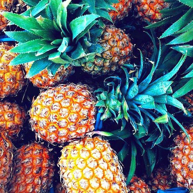 “Be a pineapple. Stand tall, wear a crown, and be sweet on the inside.” ???????????? #PineappleInProgress #QOTD https://t.co/fUVJ7yMJIy