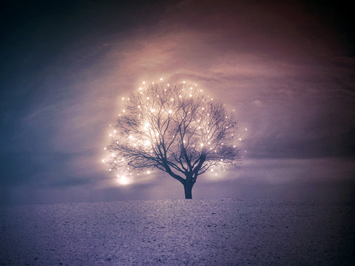 RT @caroleluciole: Breath https://t.co/KhXq5qddjr from @Amorphousbeing #magicworld #illuminated #tree #landmark @hitRECord https://t.co/hJ0…