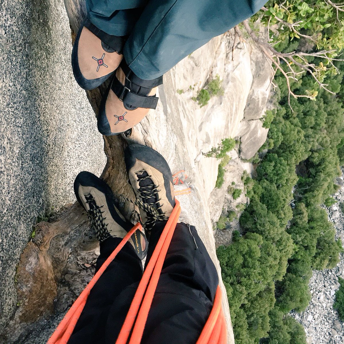 They should call this the tree of life. Climbing Serenity Crack in #yosemite with @kjorgeson https://t.co/G0er8Aq8UL