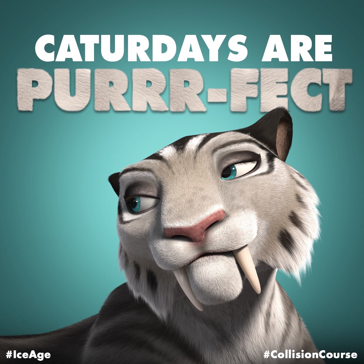 RT @IceAge: Have a PAW-some day ????????. #Caturday #IceAge #CollisionCourse https://t.co/TJ56IstU5y