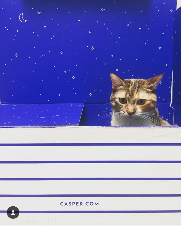 RT @B4BPodcast: Special thanks 2 @Casper 4 sponsoring the ep.  Get on this & get your mattress! https://t.co/Flgqq4Yg0V promo B4B https://t…