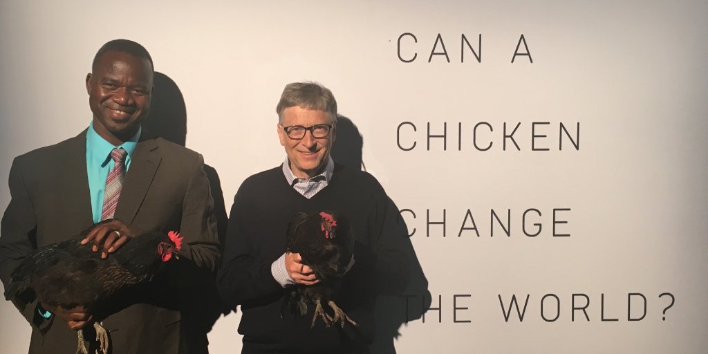 RT @BillGates: Help me give away 100,000 chickens: https://t.co/0xRBrnDhEN https://t.co/R02rh4yVRu /via @heykim