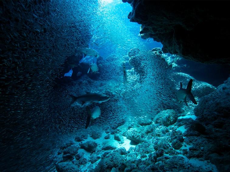 mid ocean ridge mid ocean ridge