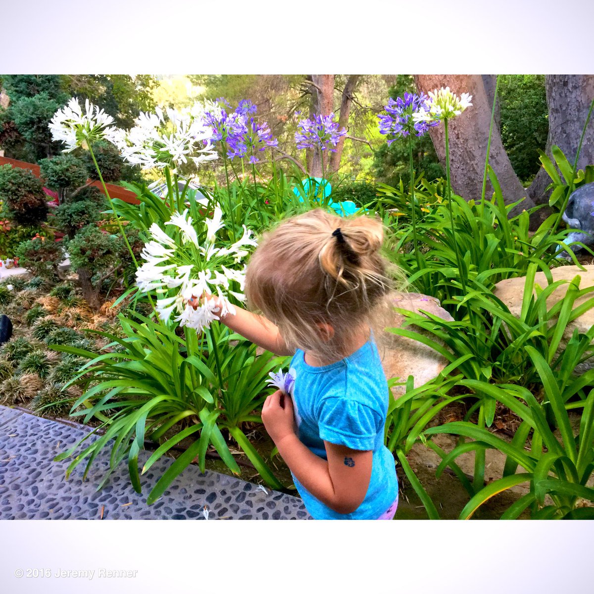 Discovering beauty in EVERY moment. #thankful #moretocome #flowergirl https://t.co/sxAXHg3Dp7