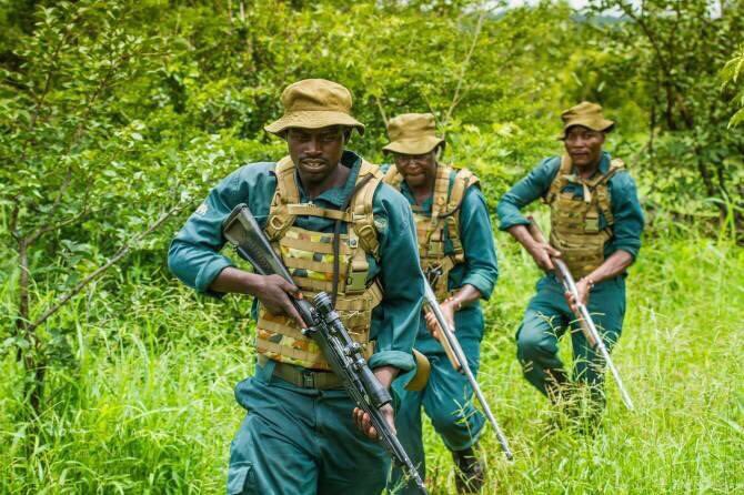 RT @IAPF: Happy Father's Day to all the ranger & conservation dads doing dangerous, critical work to protect wildlife. https://t.co/fQrHKwC…
