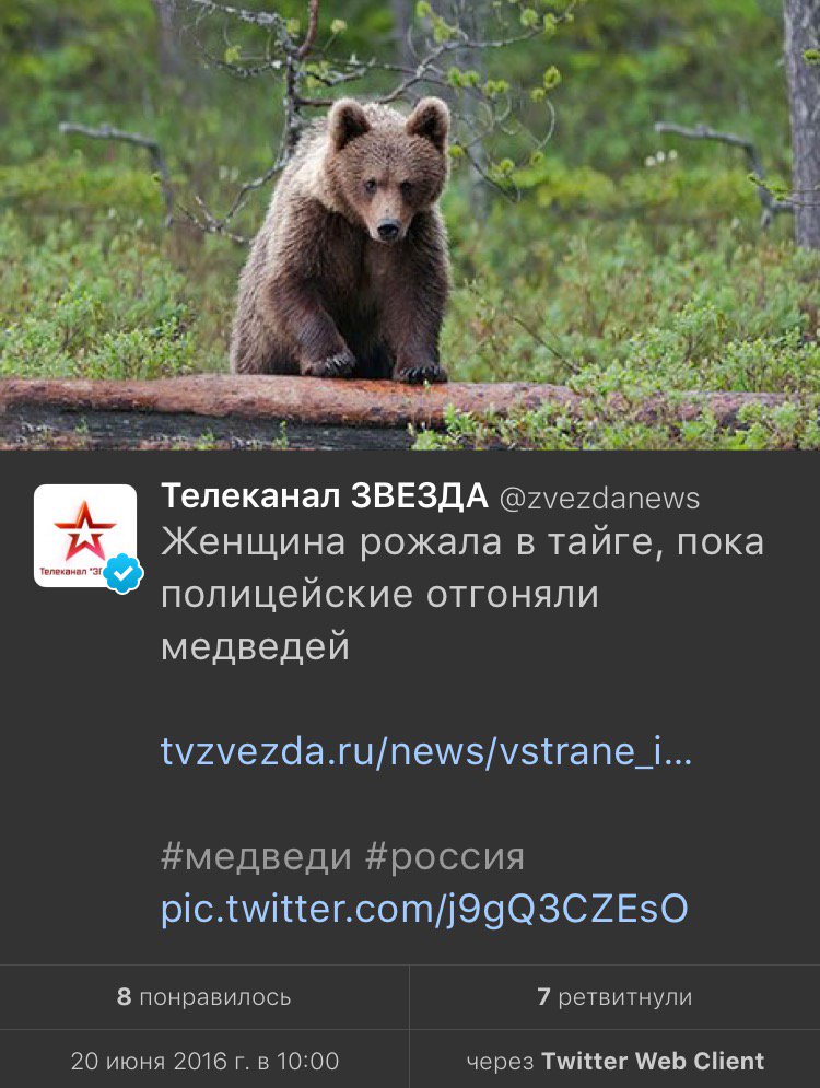 Беременная девушка родила в лесу пока полицейские дрались с медведем 92