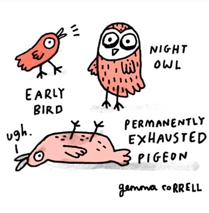 All three kids out of school in the summertime got me like....  #IAmThePigeon ???? @gemmacorrell https://t.co/JyrHwQx3Uk