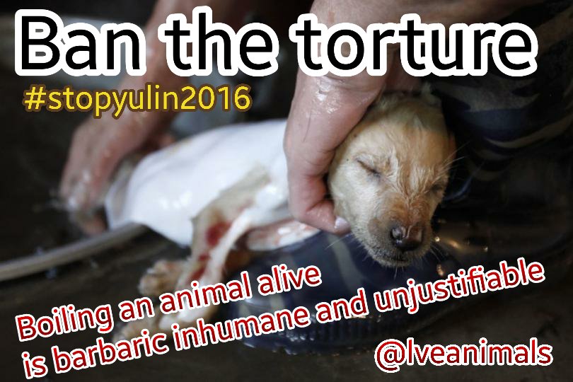 RT @LVEANIMALS: PLEASE SHARE EVERYONE 
#StopYulin2016 #StopYulinForever 
@joannakrupa @al_waeeed @MrLachris @lookeastwest @79safari https:/…