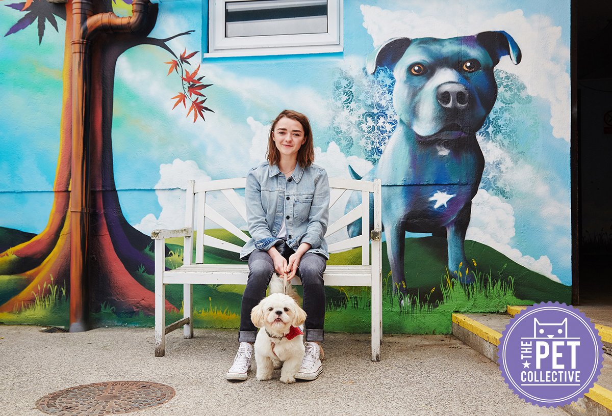 RT @pet_collective: It was such an honour to photograph @Maisie_Williams with her dog Sonny at the @RSPCABristol ???? #graffiti #Bristol https…