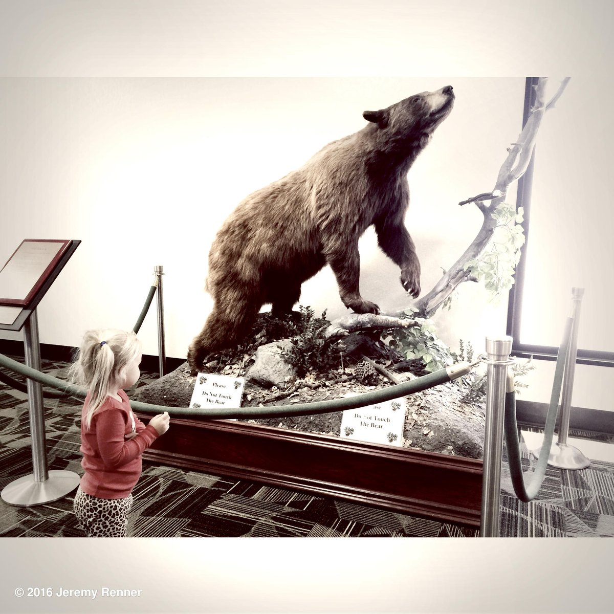 Revisiting our favorite bear! #camprenner #pineconehunt #lovethistime https://t.co/ZIYnVUiuQ2