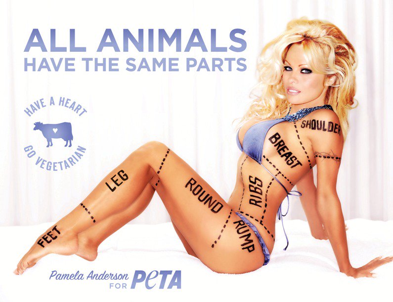 RT @peta: Gotta love a woman who's beautiful, kind AND a hero for animals ❤️ Bday love to PETA Honorary Director Pam Anderson! https://t.co…