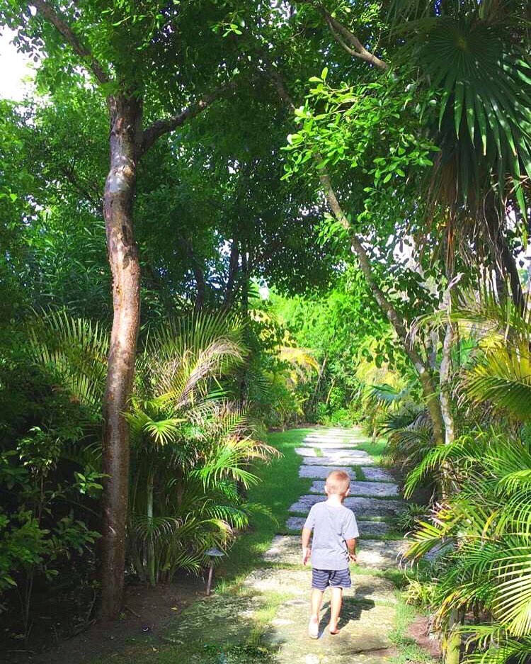 Jungle walks with the little guy ???????????????? #PostcardsFromAfar #FamilyVacation https://t.co/Z0khscOtdj