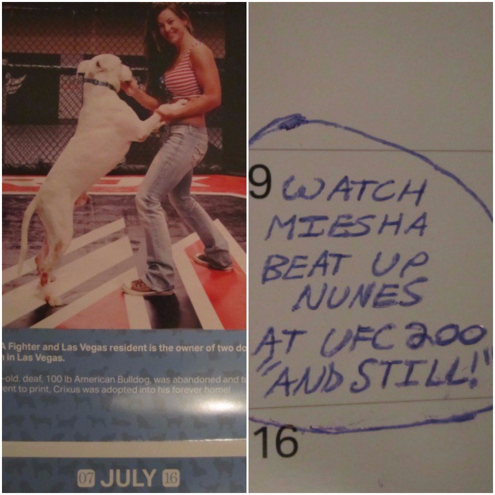 RT @LuchaGuapo: @MieshaTate Hmm, just looking at my calendar. It appears to be your month. Why am I not surprised? #AndStill #UFC200 https:…