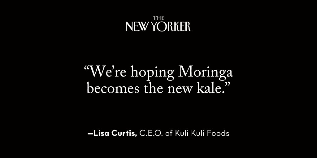 Meet the New Kale: Moringa Meet the New Kale: Moringa