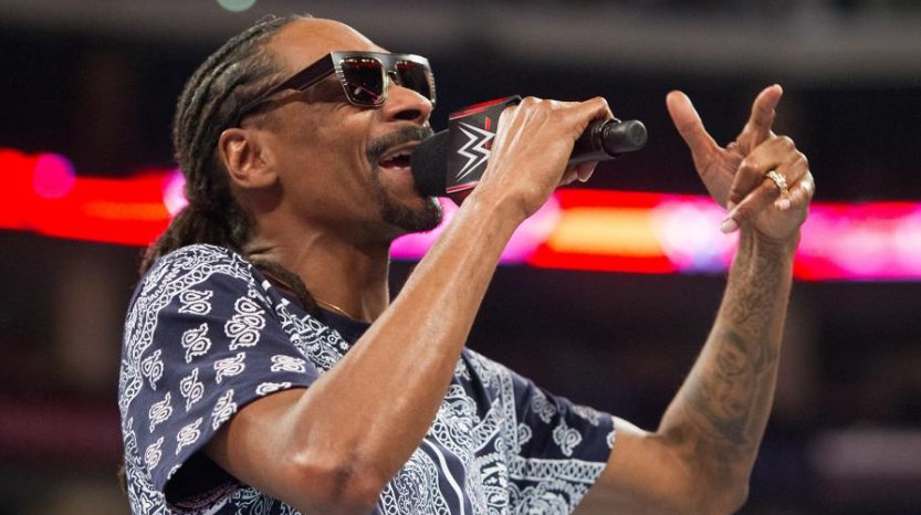 RT @WWEMusic: Congrats to @WWE Hall of Famer @SnoopDogg on the release of his new album #COOLAID, available on @iTunes! https://t.co/JTmXNj…