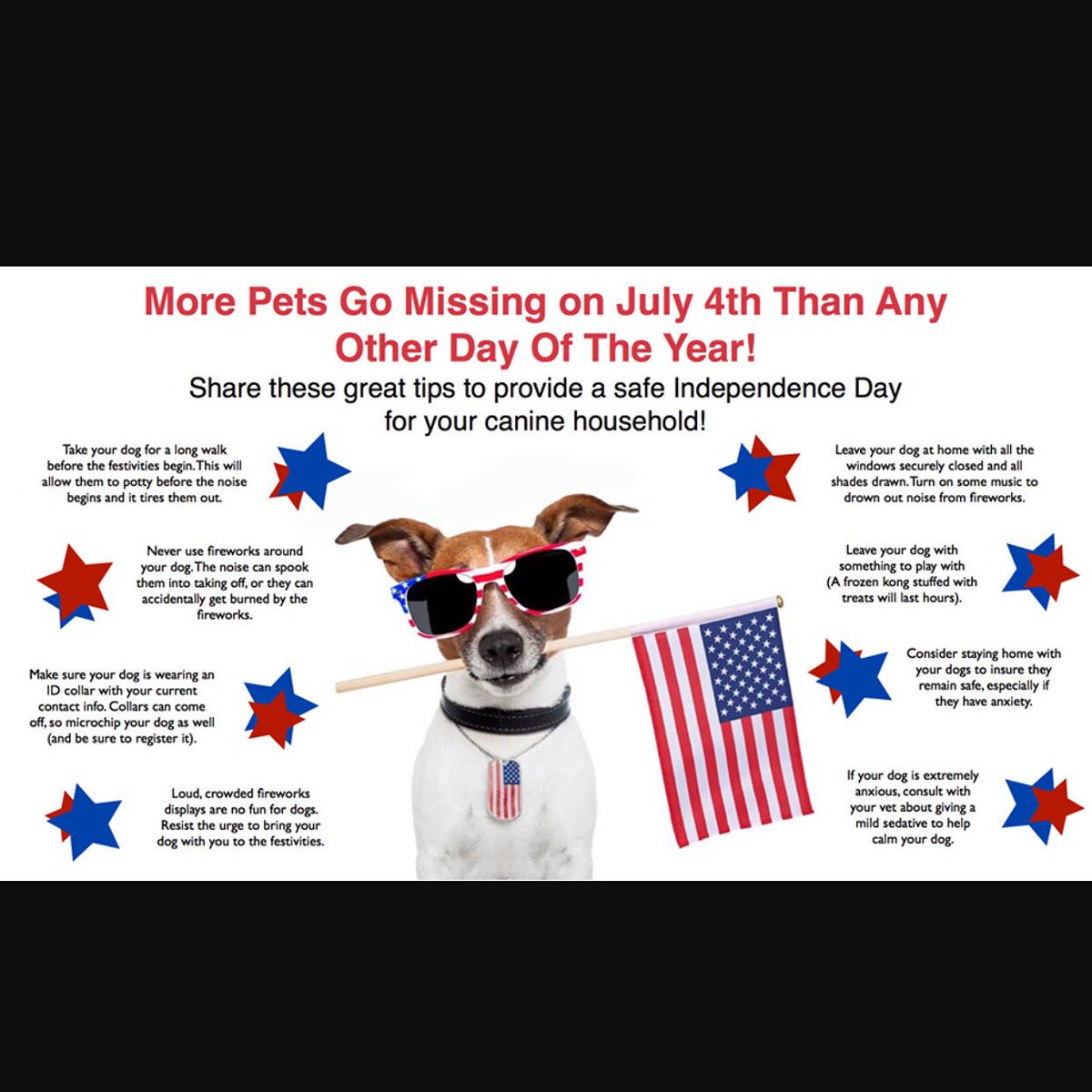 Be a responsible dog and cat owner this Fourth of July! Animals go missing and also killed in shelters ! https://t.co/3a5hxVGwmg