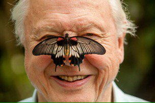 RT @Team4Nature300: Make #BigButterflyCount 2016 the BIGGEST EVER! 
PLEASE SIGN/RT to make Sir David's year! :))
https://t.co/CKQA6PjEb0 ht…