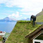 Our house wears a shiny new outfit – a grass roof