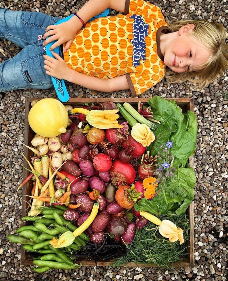 Sorting out the veg patch with my little helper amazing colours from Mother Nature https://t.co/Pj1P7wKYAM