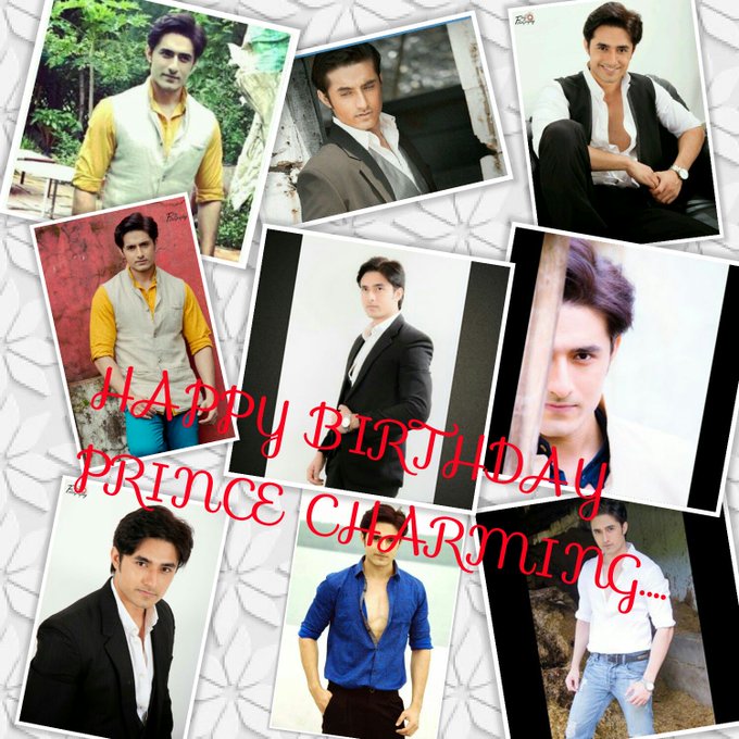 Prince Charming's Birthday Celebration | HappyBday.to