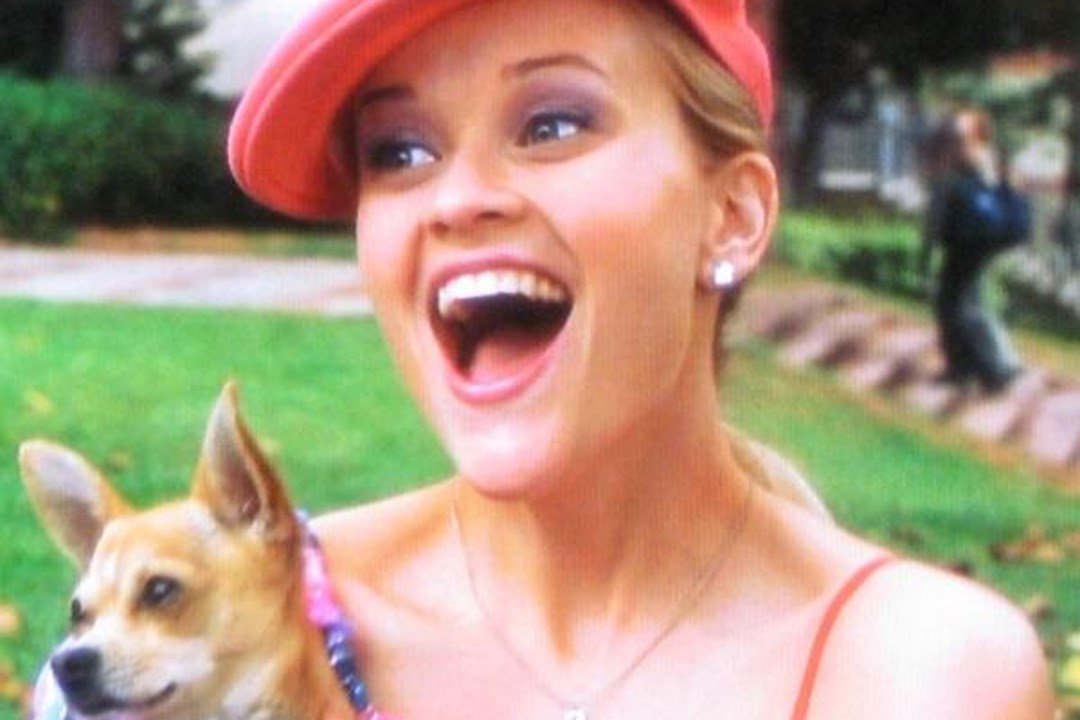 RT @BritishVogue: Celebrate Legally Blonde’s birthday with words of wisdom from Elle Woods #legallyblonde15 https://t.co/zQ2qwmno2y https:/…