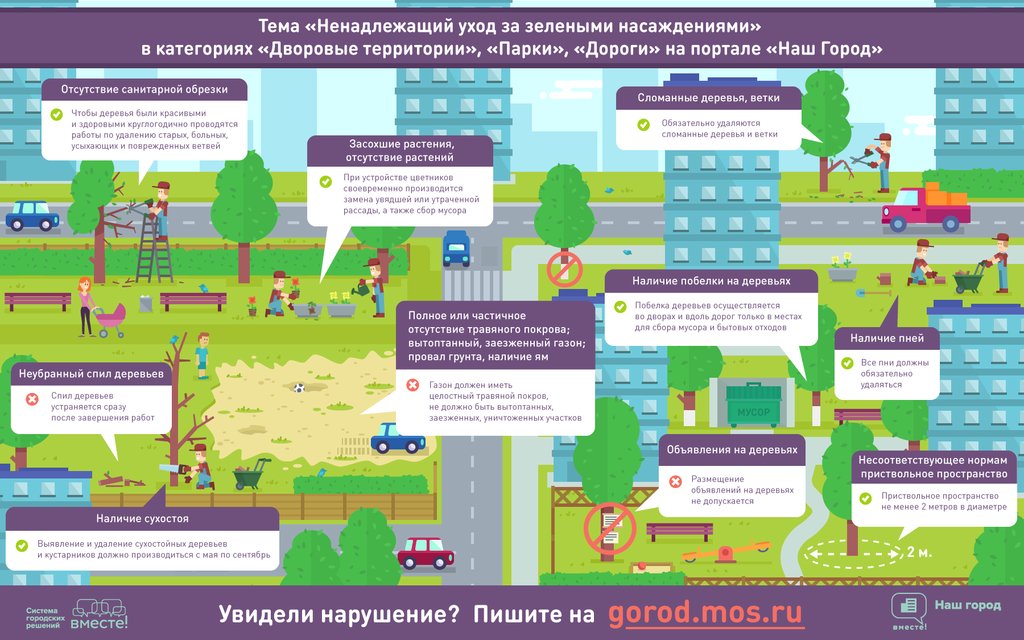 Уход за зелеными насаждениями в городах Уход за зелеными насаждениями в городах