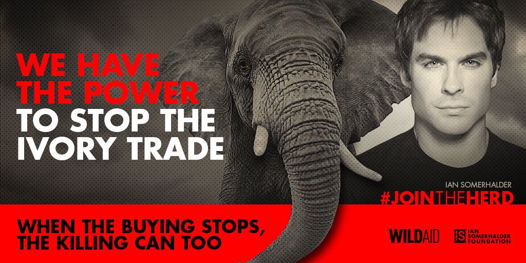 To save elephants we must STOP the IVORY TRADE. 
Grow the Herd!
https://t.co/1l8UKnf27Z
#JoinTheHerd @IS_Foundation https://t.co/ISUScwL5ri