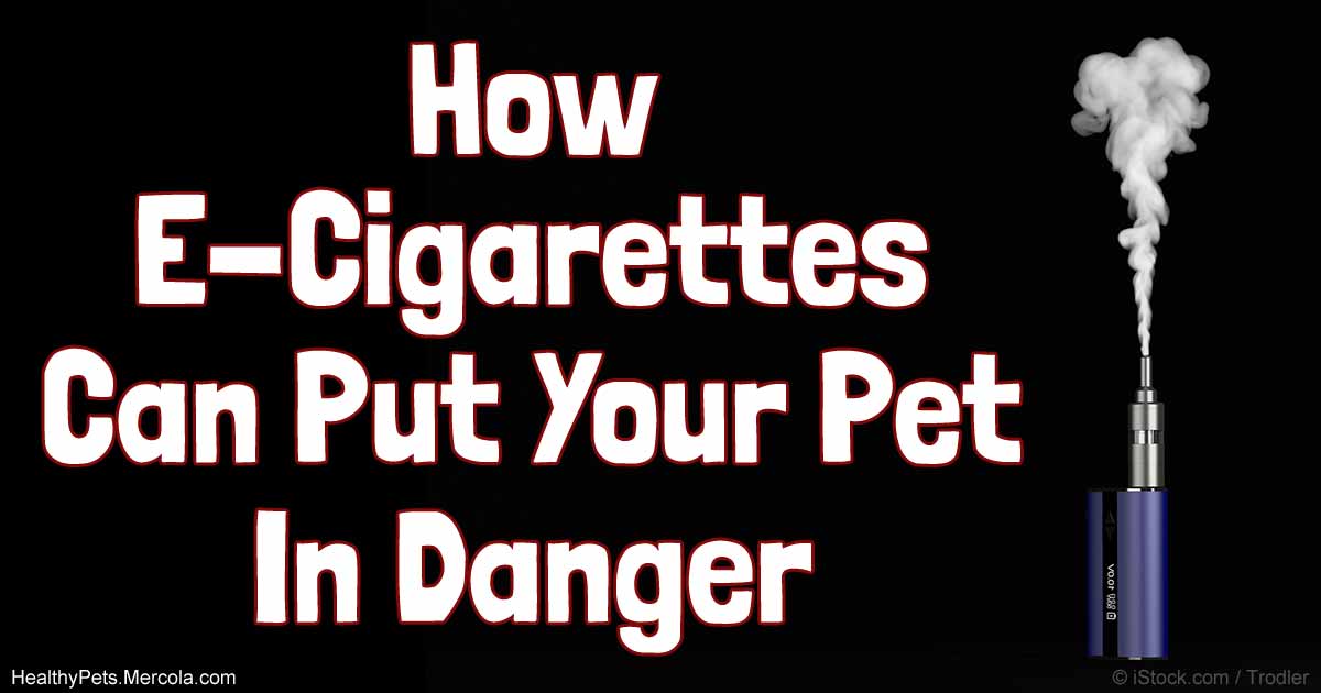 The Dangers of E-Cigarettes to Your Pet https://t.co/VsymtJ7IHI by @drkarenbecker https://t.co/JNUe4q0H89