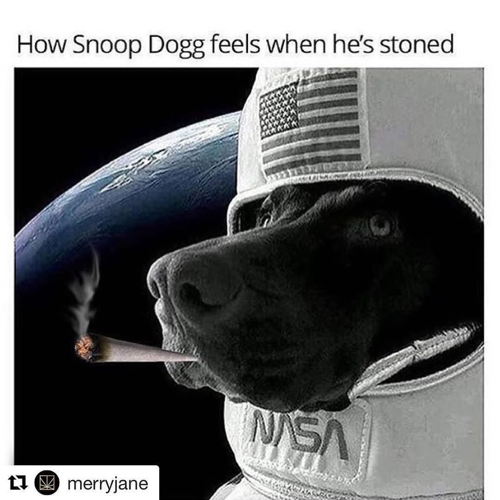 #Repost @merryjane
・・・
????What's snoop smokin on??? ☄ https://t.co/mPGlv50vSZ https://t.co/3Dv4gqC0fI