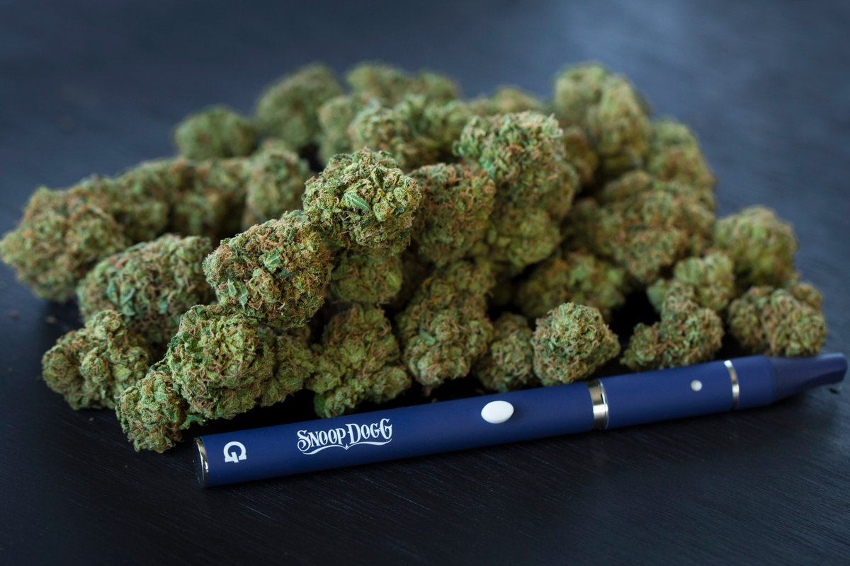 what u smokn on ?? bo$$ dogg @GPen #Gslim ✨ get it now https://t.co/MGch8h6H3c https://t.co/Z72iYRdftc
